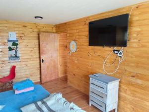 a living room with a flat screen tv on a wooden wall at PEZ HOUSE in Pichilemu