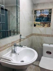 巴庫里阿尼的住宿－SNOW HOUSE BAKURIANI!，一间带水槽和卫生间的浴室