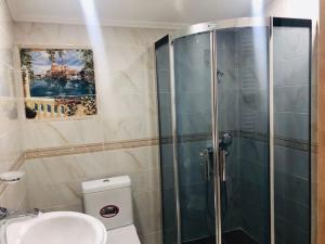 a bathroom with a shower and a toilet and a sink at SNOW HOUSE BAKURIANI! in Bakuriani