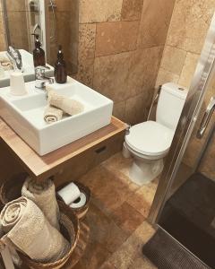 a bathroom with a sink and a toilet at La perle du parc - Studio in Rocquencourt