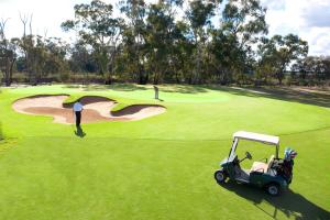 un campo da golf con un golfista e un golf cart di Comfort Inn Clubarham a Barham