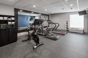 - une salle de sport avec des vélos d'exercice et un tapis de course dans l'établissement Hampton Inn Atlanta-Woodstock, à Woodstock