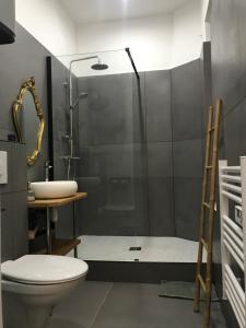 a bathroom with a shower and a toilet and a sink at Bon'appart in Ajaccio
