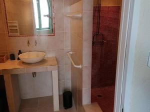 uma casa de banho com um lavatório e uma cabina de duche em vidro. em Maison chaleureuse avec cheminée em Bourgueil