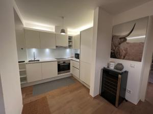 a kitchen with white cabinets and a black appliance at Palais am Kai - Zentrale Lage, Kostenloser Parkplatz in Salzburg