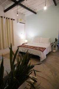 een slaapkamer met een bed en een potplant bij Rio Elemento in Minca