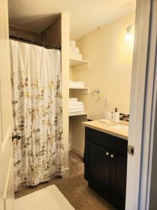 y baño con cortina de ducha y lavamanos. en Cozy contemporary 2BR with Sofa bed in the office, en Seattle