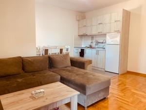 Η κουζίνα ή μικρή κουζίνα στο Apartman Vrnjačka Banja centar