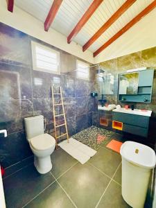 a bathroom with a toilet and a sink at Villa senseo in Capesterre-Belle-Eau +35 photos