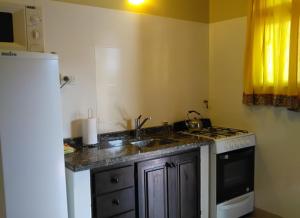 Η κουζίνα ή μικρή κουζίνα στο Apart Hotel La Recova +7 φωτογραφίες