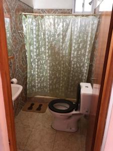 フェデラシオンにあるEl Rinconのバスルーム(緑のシャワーカーテン付きトイレ付)