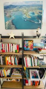 a book shelf filled with books with a picture on the wall at L’Appart Watalibi in Sainte-Luce