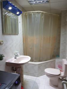 a bathroom with a sink and a shower and a toilet at Fabulous Apartment in Sheraton Heliopolis ,5 minutes from Cairo Airport in Cairo