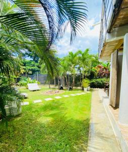 un jardin avec un banc blanc et des palmiers dans l'établissement Casa Kai, à Palomino