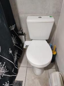 La salle de bains est pourvue de toilettes blanches et d'un rideau de douche noir. dans l'établissement Bonarda Mendoza, à Mendoza