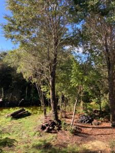 Photo de la galerie de l'établissement El Viloche - Tiny House, à Puerto Montt