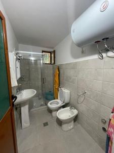 y baño con aseo, lavabo y ducha. en Appartament Dukat Albania 2 en Dukat