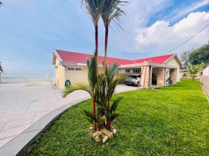 a palm tree in front of a house at Private Beach-front Haven by StayCo - Seaview Pool, KTV & Speaker System, Beach Air Loft, Private Beach Access and Beyond! in Tanjung Bungah