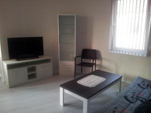 TV a/nebo společenská místnost v ubytování Apartment Zlatina
