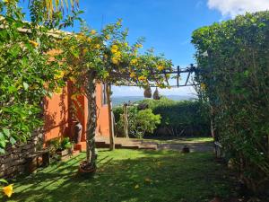 Zugang zu einem Garten mit einem Orangenbaum in der Unterkunft Pousada Lajedo in Serra de São Bento
