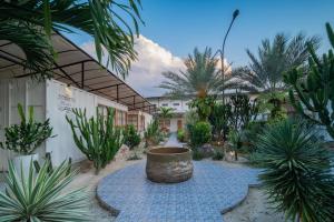 un patio con palmeras y una olla grande en Danka Vacation Home en Seribu