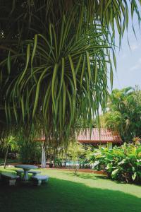 a picnic table in a park with a palm tree at Hotel Villa Del Sol in Coco