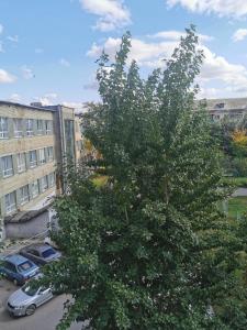 un grand arbre devant un bâtiment avec des voitures dans l'établissement 1 комн апартаменты в центре рядом с парком, à Kostanay