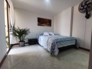 a bedroom with a bed and a potted plant at Acogedor Apto Parque Sabaneta in Sabaneta