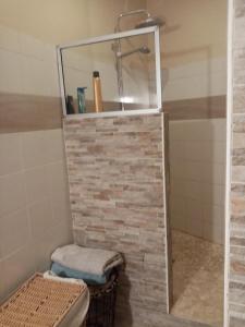 uma casa de banho com um chuveiro e um WC. em Nid douillet em Genilac