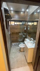 a bathroom with a toilet and a sink and a mirror at Bernardo’s Departamento céntrico para 2 o hasta 3 personas in Sucre