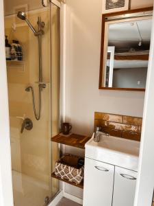a bathroom with a shower and a sink and a mirror at The Secret Studio, Outdoor Bath & Pizza Oven in New Plymouth