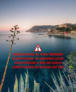 uma vista para um lago com uma árvore em I Tibei Guesthouse Affittacamere em Monterosso al Mare