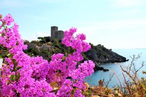 Fotografie z fotogalerie ubytování Hotel Capo D'Uomo v destinaci Talamone