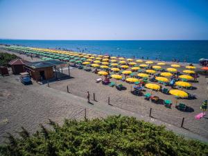 a bunch of umbrellas on a beach with the ocean at Gitavillage California in Montalto di Castro
