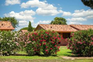 dom z różowymi kwiatami przed dziedzińcem w obiekcie Gitavillage California w mieście Montalto di Castro