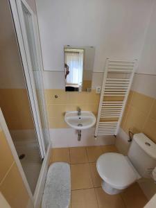 a bathroom with a toilet and a sink at Restaurace a penzion Vrtule in Petřvald