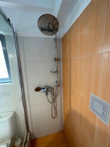 un bagno con doccia e WC di Elegant Escapes 4 ad Atene