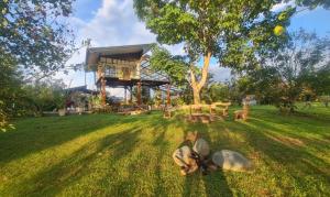 ein Haus auf einem Feld mit einem Baum und einer Bank in der Unterkunft La Granja Farmstay Dipolog in Mutia + 17 Fotos
