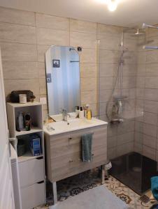 a bathroom with a sink and a shower with a mirror at Maison rénovée in Millières