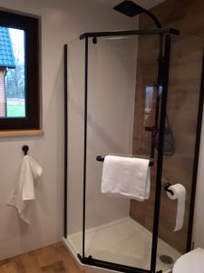a bathroom with a glass shower with a toilet paper roll at Domki OstoYa Bieszczady/Solina in Myczkowce