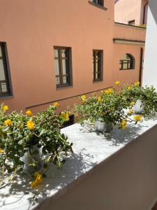 three potted plants sitting on a ledge on a balcony at Blom apartments in Pisa