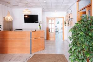 a lobby with a potted plant and a tv at Hotel Isla Menor in Dos Hermanas