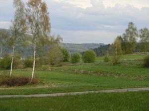 Gallery image of Pension Fohlenhof in Frauenau