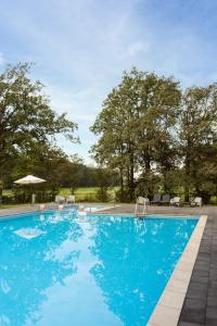 a large blue swimming pool with trees in the background at Mooi Twente Lodges - privé Spa en sauna in Markelo