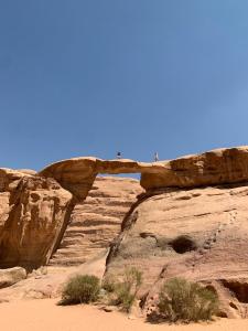 Příroda nedaleko kempu