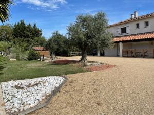 a house with a tree and a gravel driveway at Appartements calmes LE MAS DE LAURIANE in Saintes-Maries-de-la-Mer