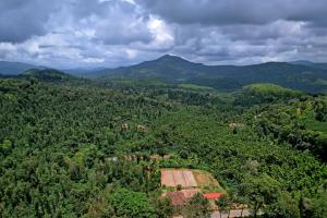 an aerial view of a forest with mountains at Balekhan Homestay - Heritage & Mountain View in Chikmagalūr