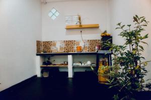 Fotografie z fotogalerie ubytování Bananas Mirissa v Mirisse (jih) + 37 fotografií