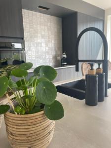 a kitchen with a potted plant sitting on a counter at Feel@Home Aan Zee in Middelkerke