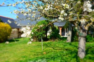 une maison avec un arbre à fleurs dans la cour dans l'établissement La Villa Bernard, à Varennes-sur-Loire